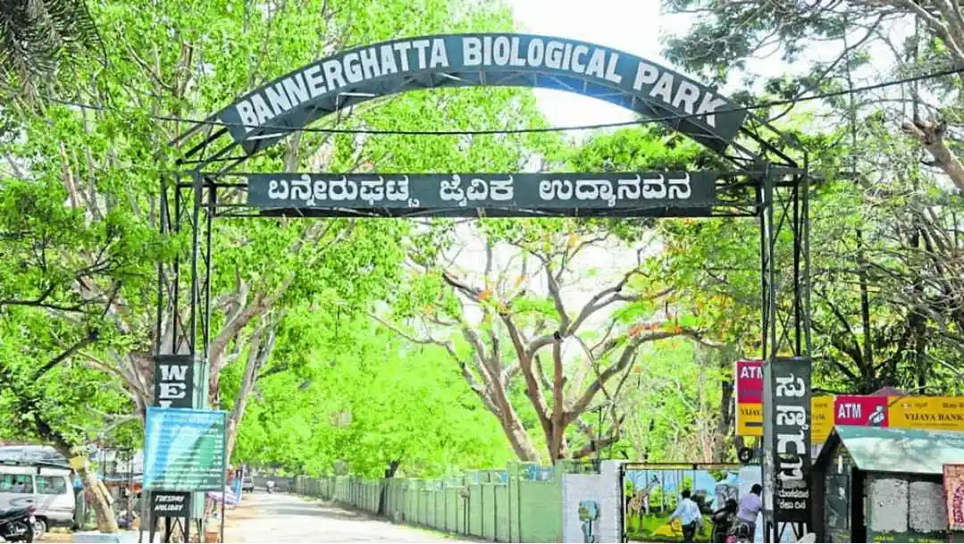 Bannerghatta National Park